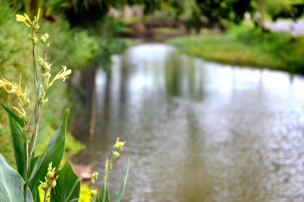 The Grand Jamjuree Resort Lamphun Quarto foto